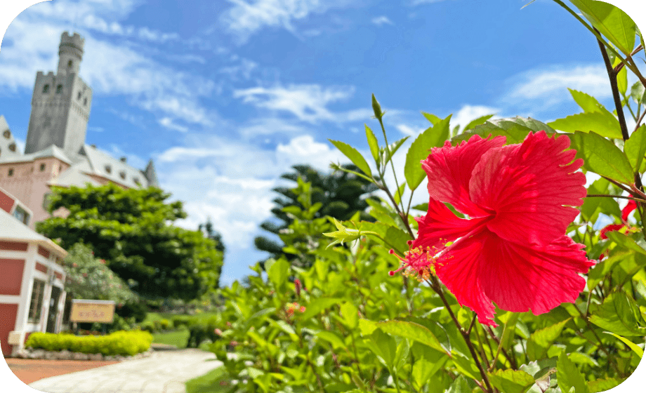宮古島での特別な体験