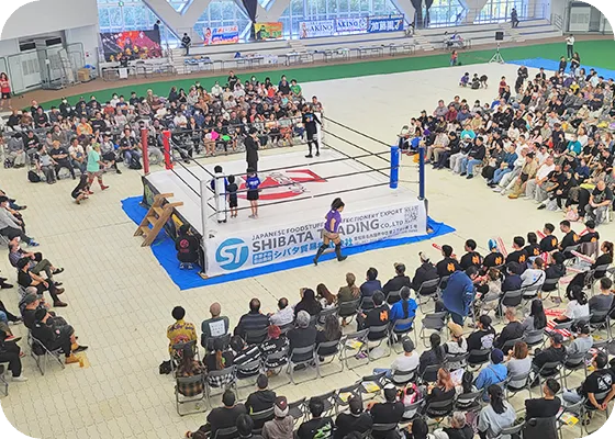 プロレス